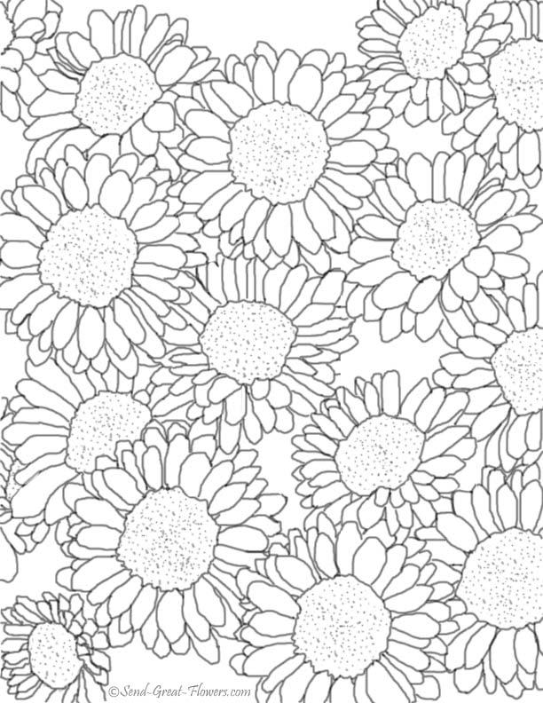 39+ Creative Free Advanced Adult Coloring Pages with Simple Outline