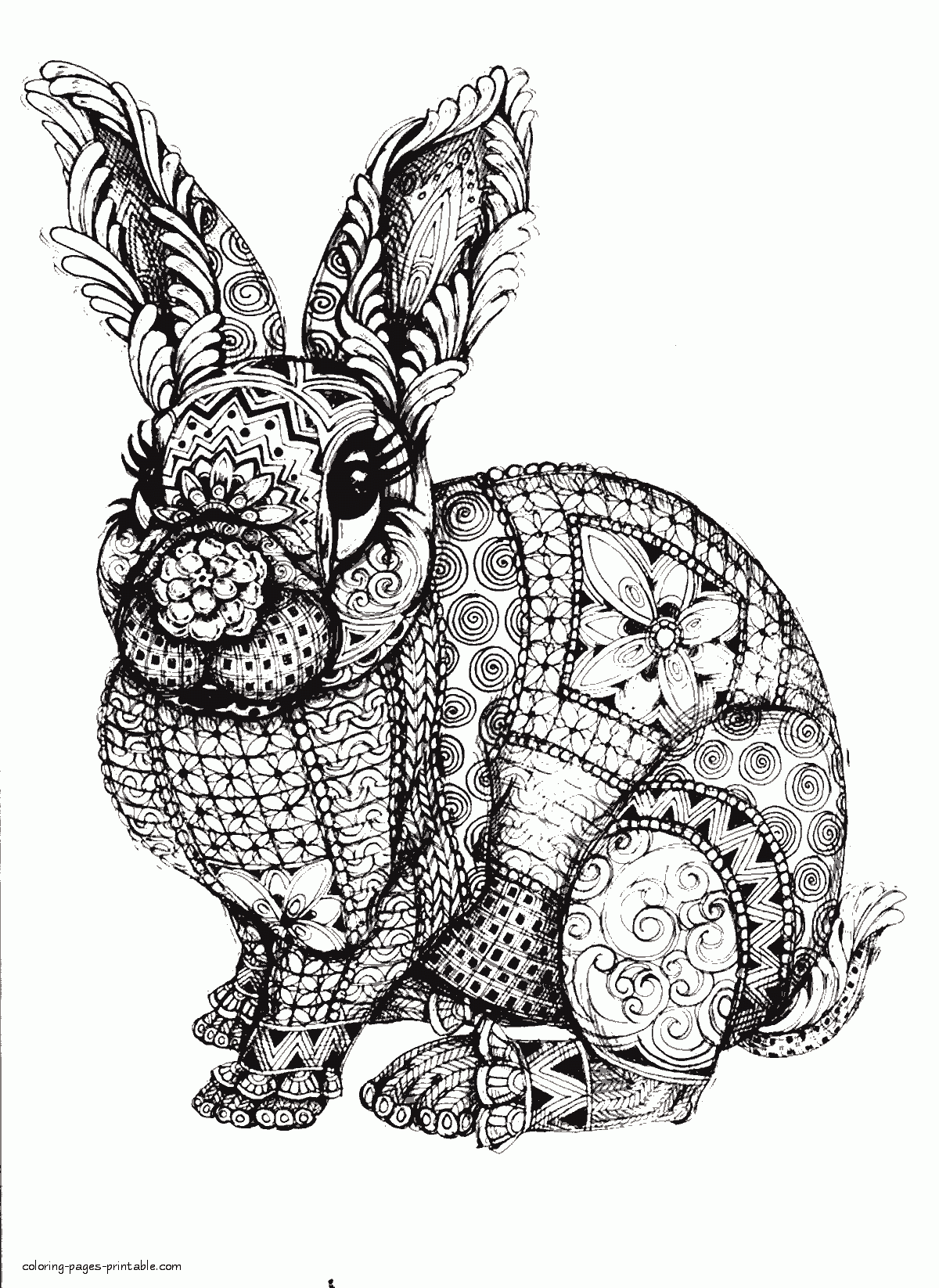 40+ Unique Detailed Coloring Pages of Animals Download FREE