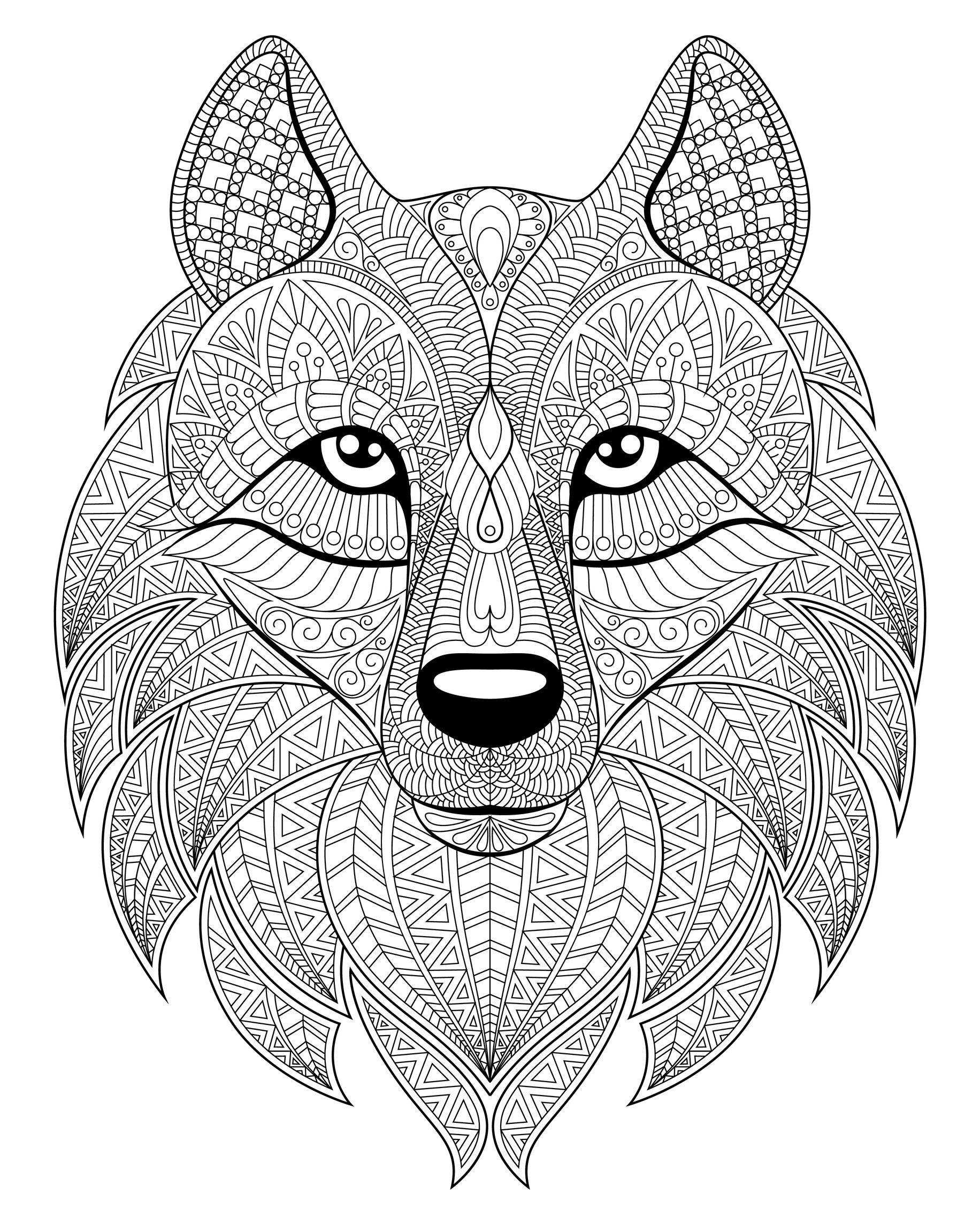 42+ Engaging Detailed Coloring Pages of Animals Download FREE