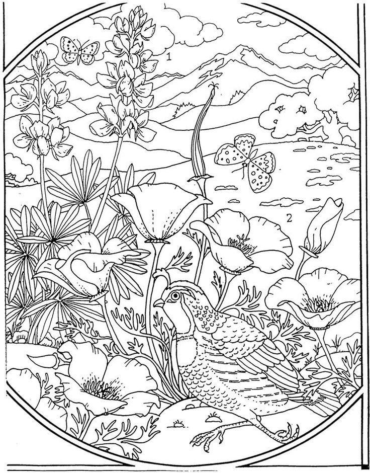 44+ Unique Free Advanced Adult Coloring Pages Download FREE