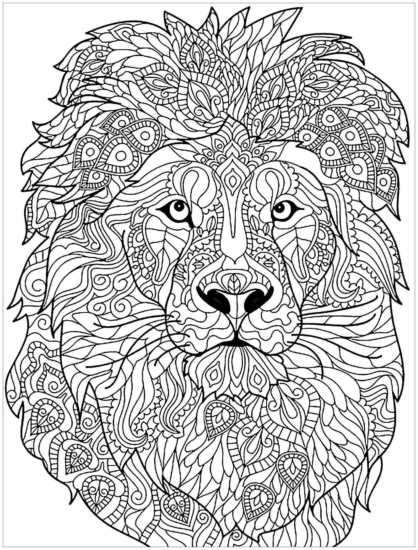 33+ Realistic Detailed Coloring Pages of Animals with Simple Outline