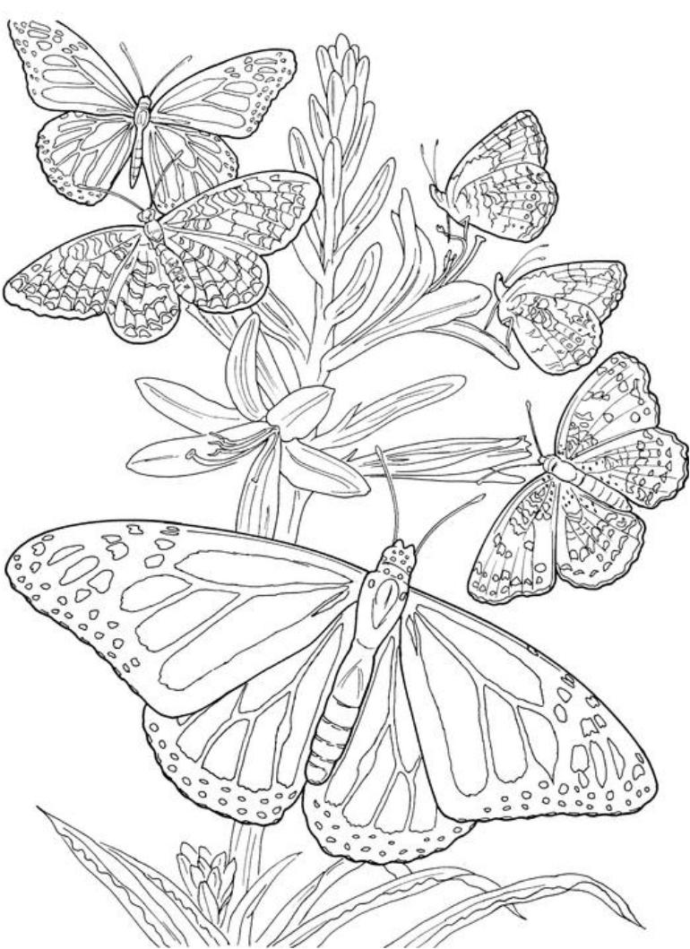 45+ Cheerful Grown Up Coloring Pages Ideas