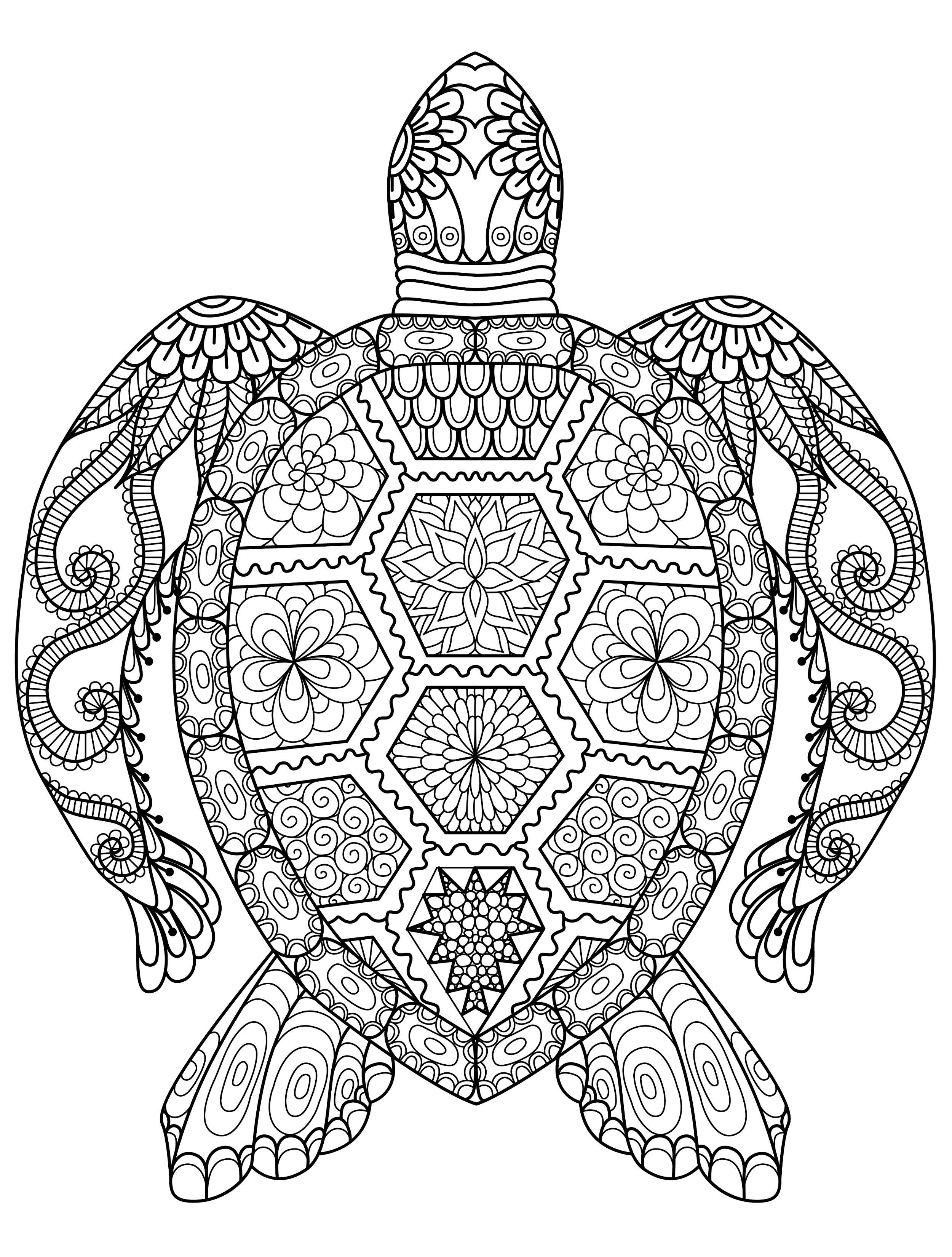 34+ Brightening Amazing Adult Coloring Pages Printable