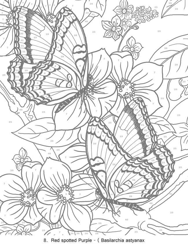 36+ Realistic Free Advanced Adult Coloring Pages Simple