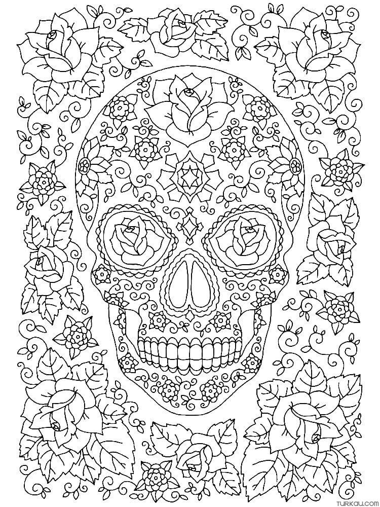 195+ Creative Crazy Hard Coloring Pages Printable