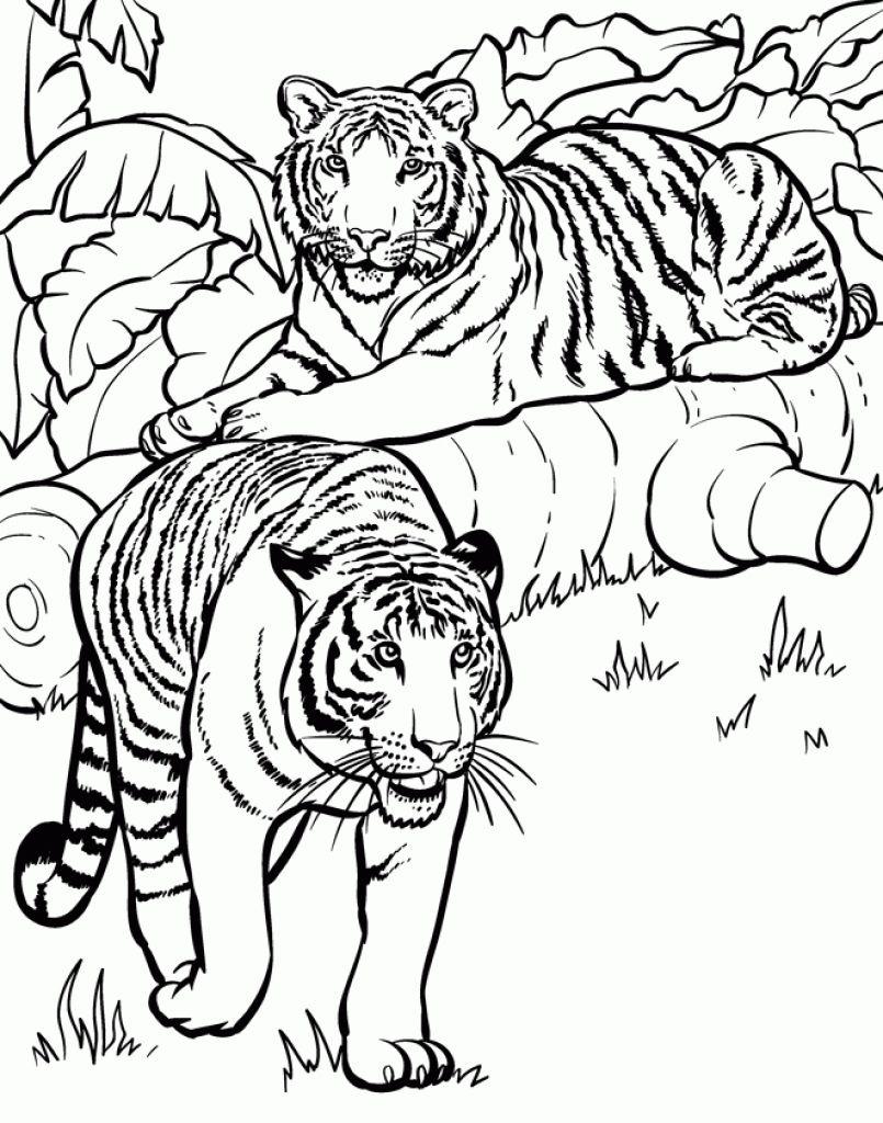 34+ Amazing Detailed Coloring Pages of Animals to Print