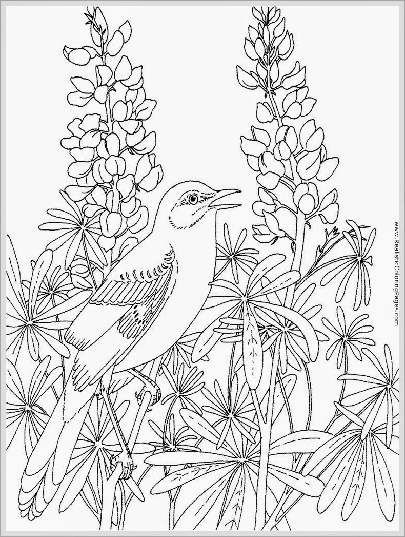 63+ Artistic Amazing Adult Coloring Pages Printable