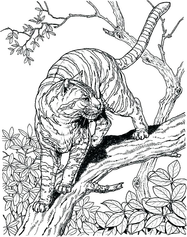 128+ Enchanting Crazy Hard Coloring Pages Printable