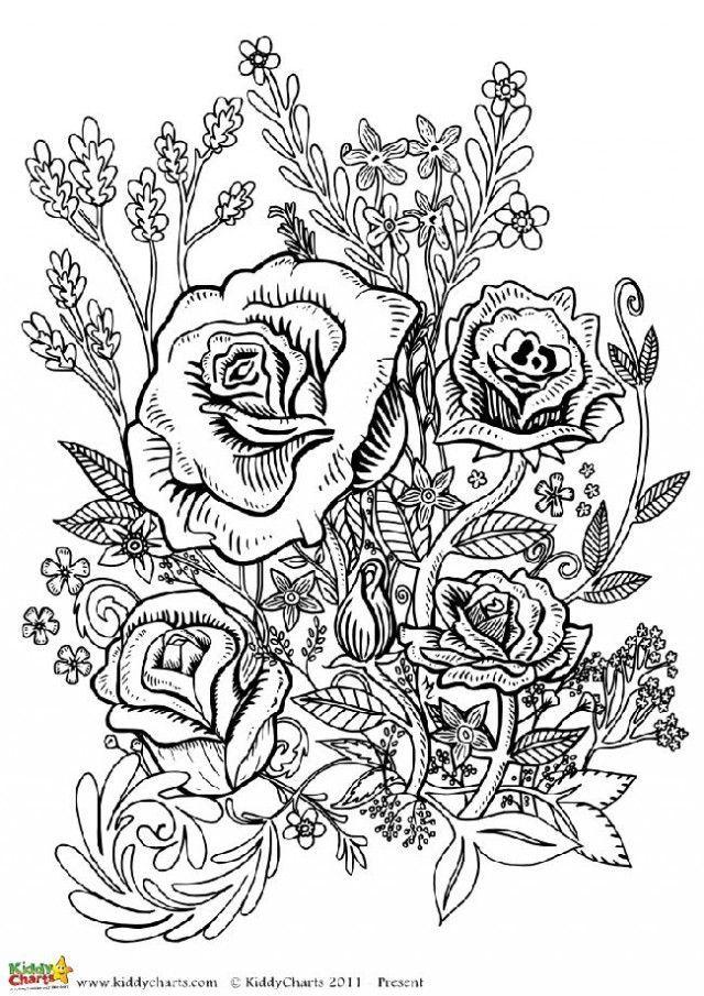 41+ Free February Adult Coloring Pages for Kids